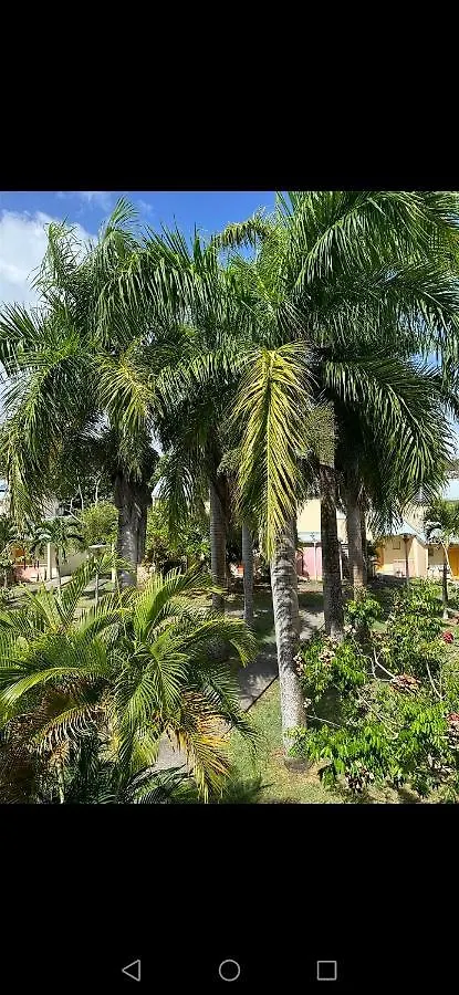 Villa Du Voyageur T4 Avec Jardin Au Gosier Le Gosier